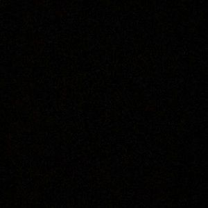 Meet your Posher, Lili